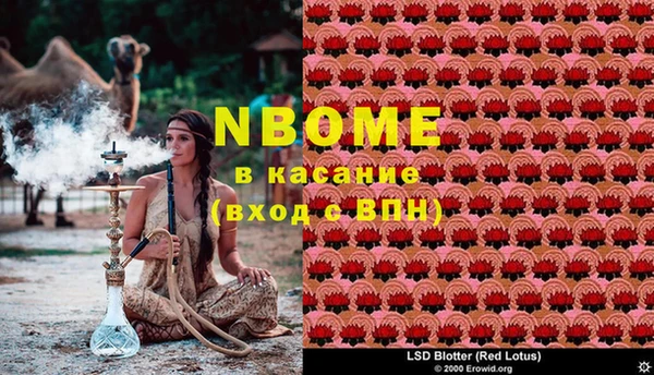 амф Няндома