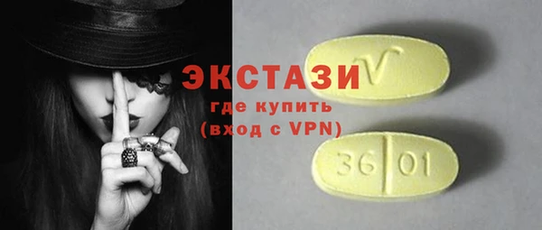 индика Нягань