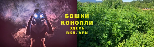 амф Няндома