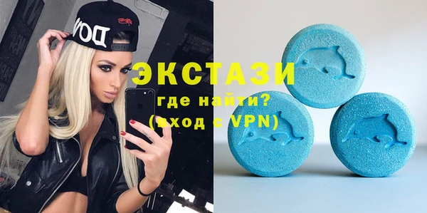 индика Нягань