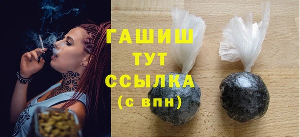 индика Нягань